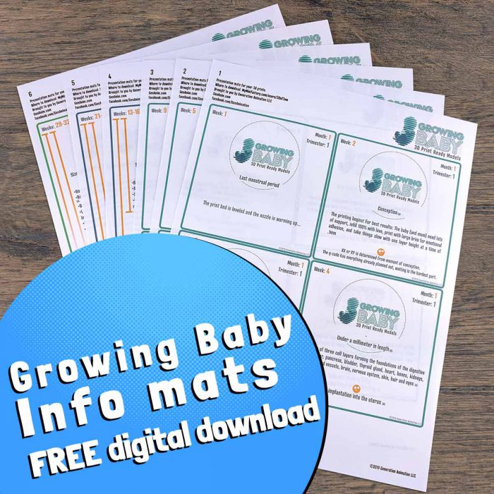 growing baby informational mats for display